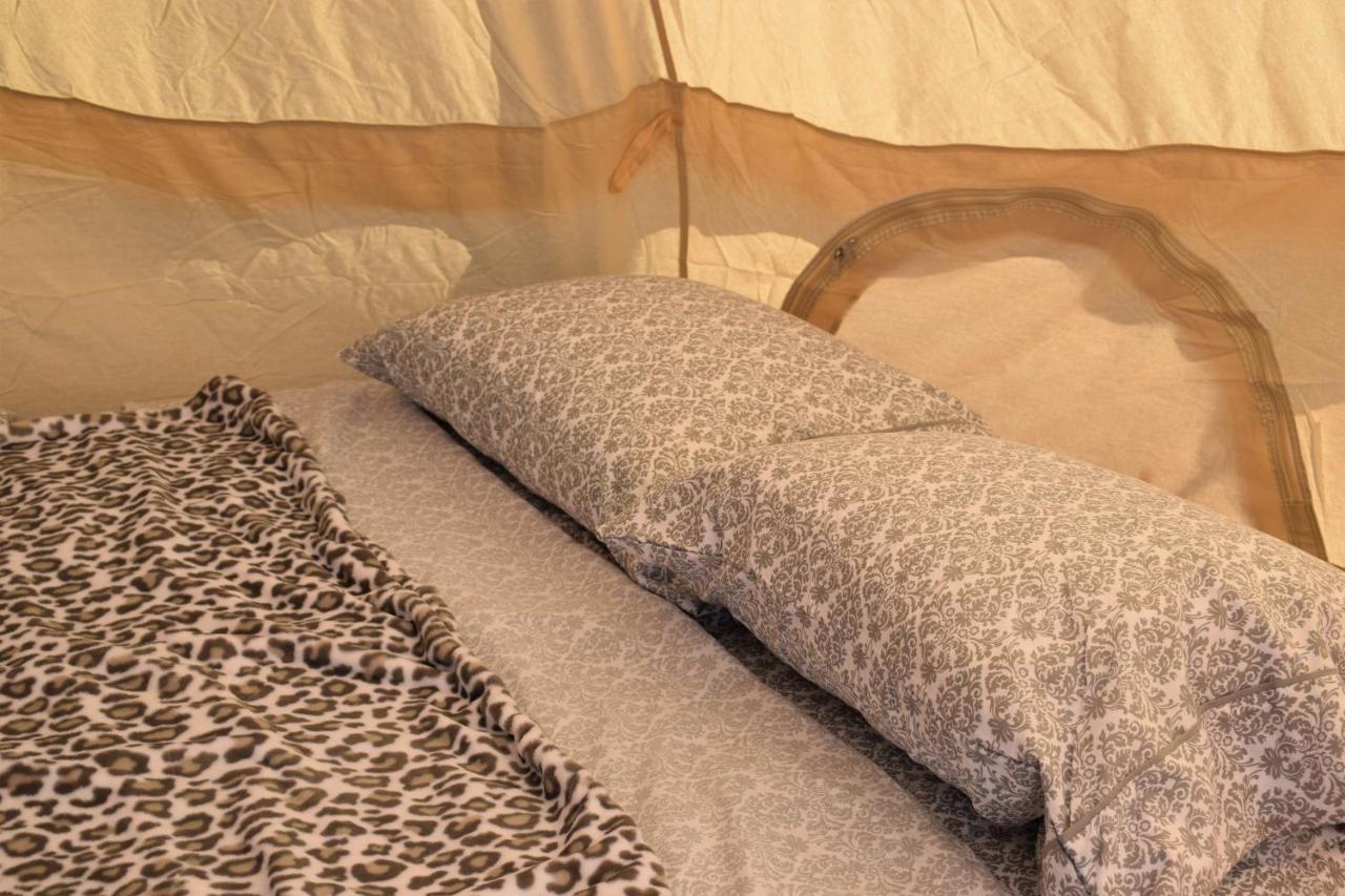 Starlight Tent 2 Holbrook Exteriér fotografie